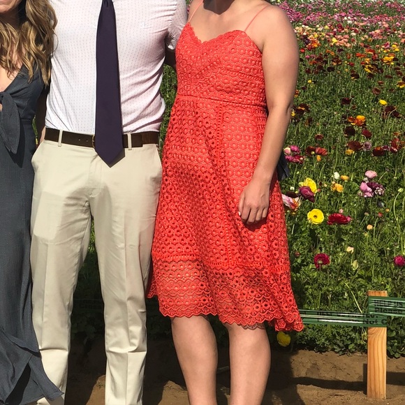 J.Crew Daisy Lace Dress - Picture 5 of 6